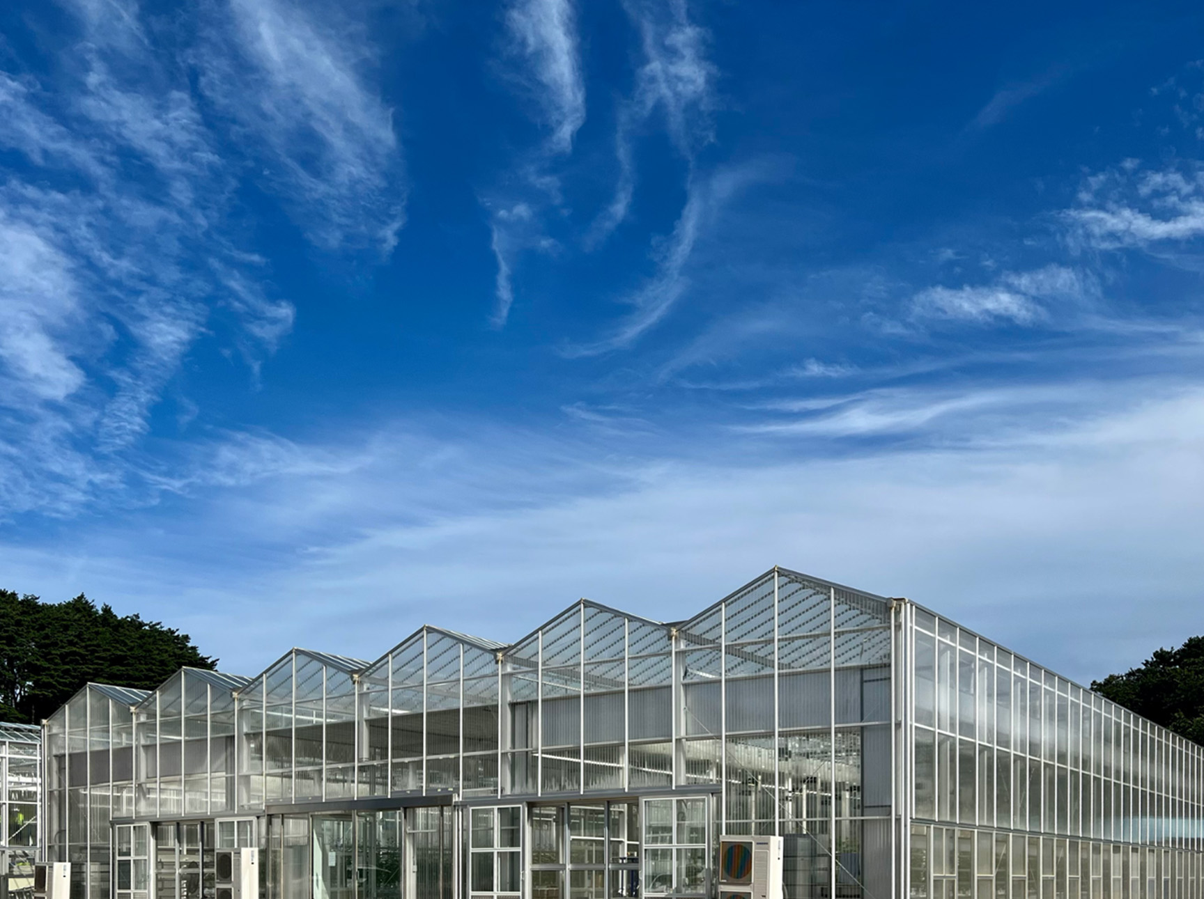 The exterior of a smart farm greenhouse
