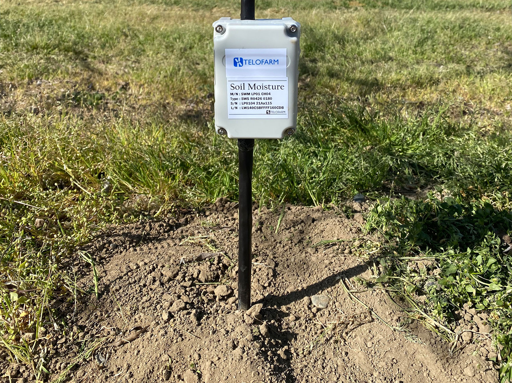 Soil moisture module installed in a freshly dug hole